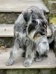 Eddy sitzt auf der Treppe