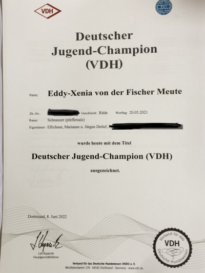 Deutscher Jugend-Champion Urkunde